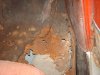 64 Impala picture of a rusted floor pan on the passenger side