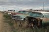 A row of 50's cars for parts