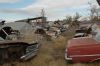 A row of 60's Chevelles for parts