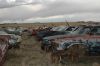 A row of 60's Ford Mustangs for parts