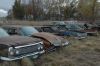 A row of early 60's Chevys for parts