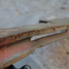 twisted 64 Impala filler panel