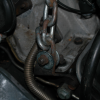 Rear eyelet