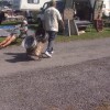 Gone shopping